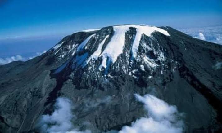 Serikali, wadau kupanda miti Bilioni 1 kunusuru theluji Mlima Kilimanjaro