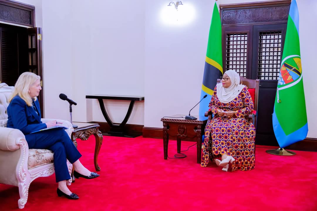 Rais Samia akutana na bosi wa Unicef